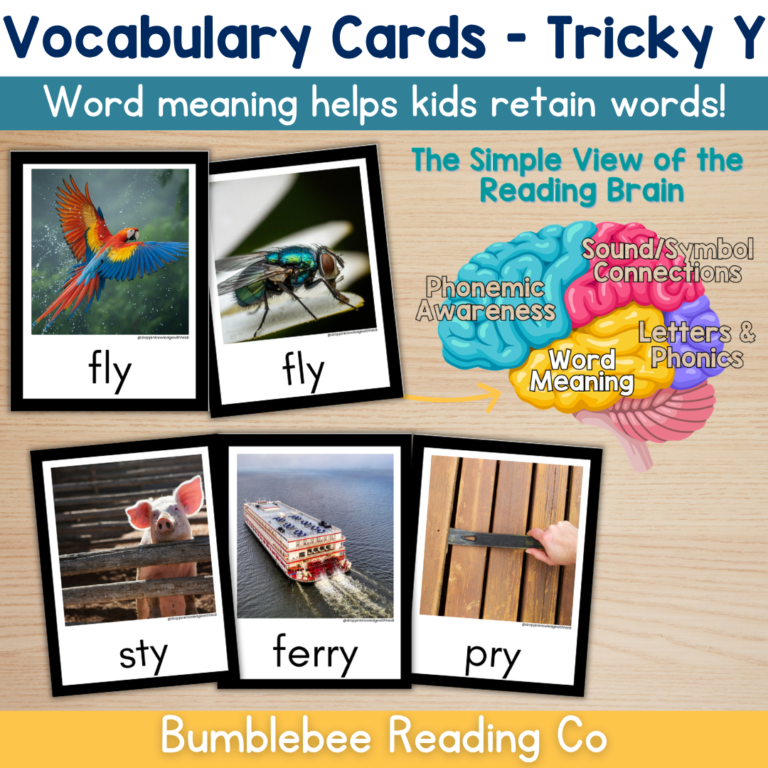 Tricky Y (Y as a vowel) Vocabulary Cards Phonics Comprehension Meaning