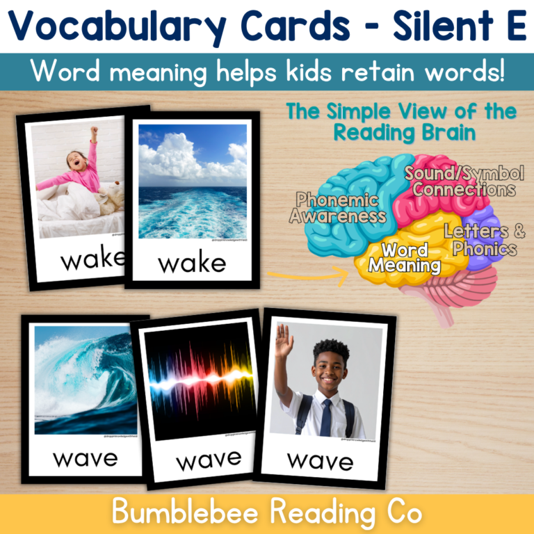 Silent E CVCE Vocabulary Cards Phonics Comprehension Meaning