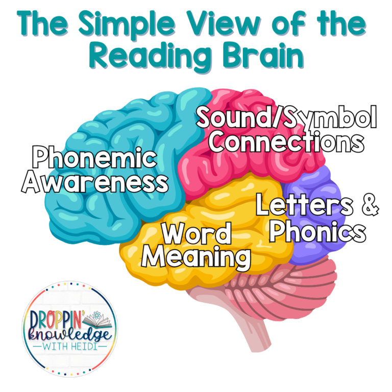 Simple View of the Reading Brain