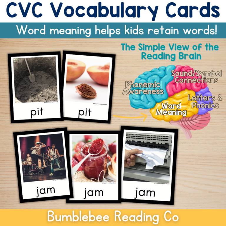 CVC Word Vocabulary Cards Phonics Comprehension Meaning