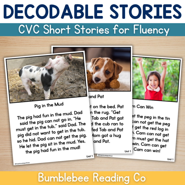 TRUE Decodable Passages – CVC Words – Unit 1 Short Stories