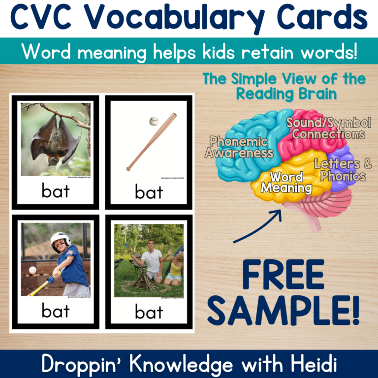 CVC Vocabulary Cards – Sample
