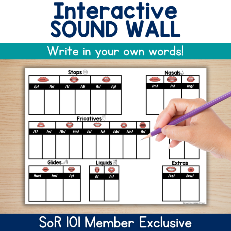 Interactive Sound Wall – Member EXCLUSIVE