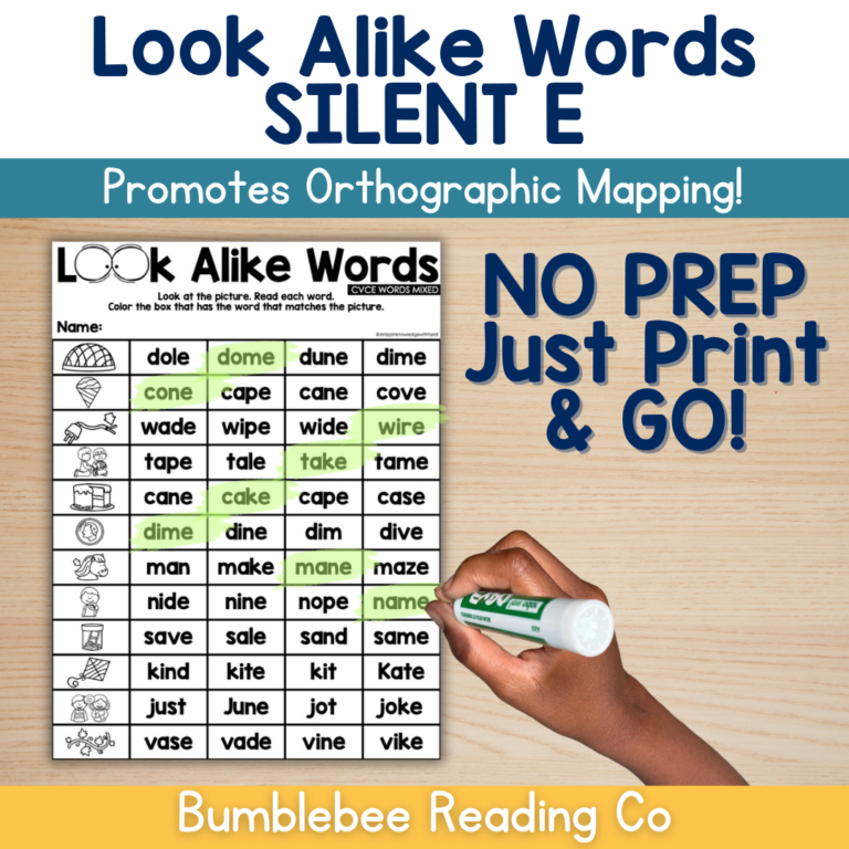 Look Alike Words No PREP Printables – Silent E