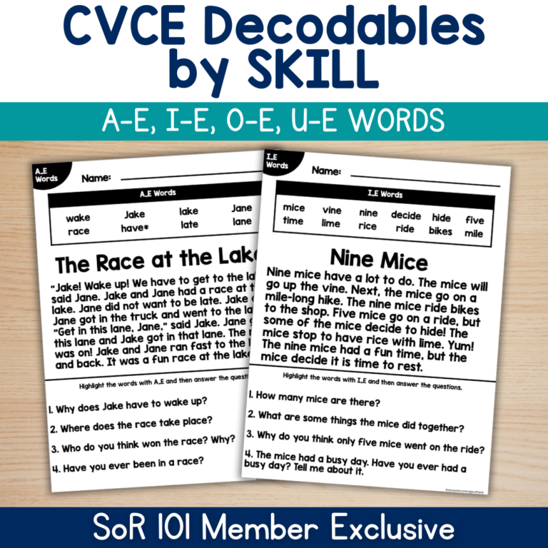 CVCE Decodables By Skill – Member Exclusive