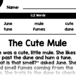 Preview of the resource